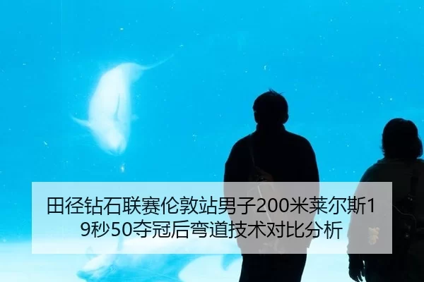 田径钻石联赛伦敦站男子200米莱尔斯19秒50夺冠后弯道技术对比分析